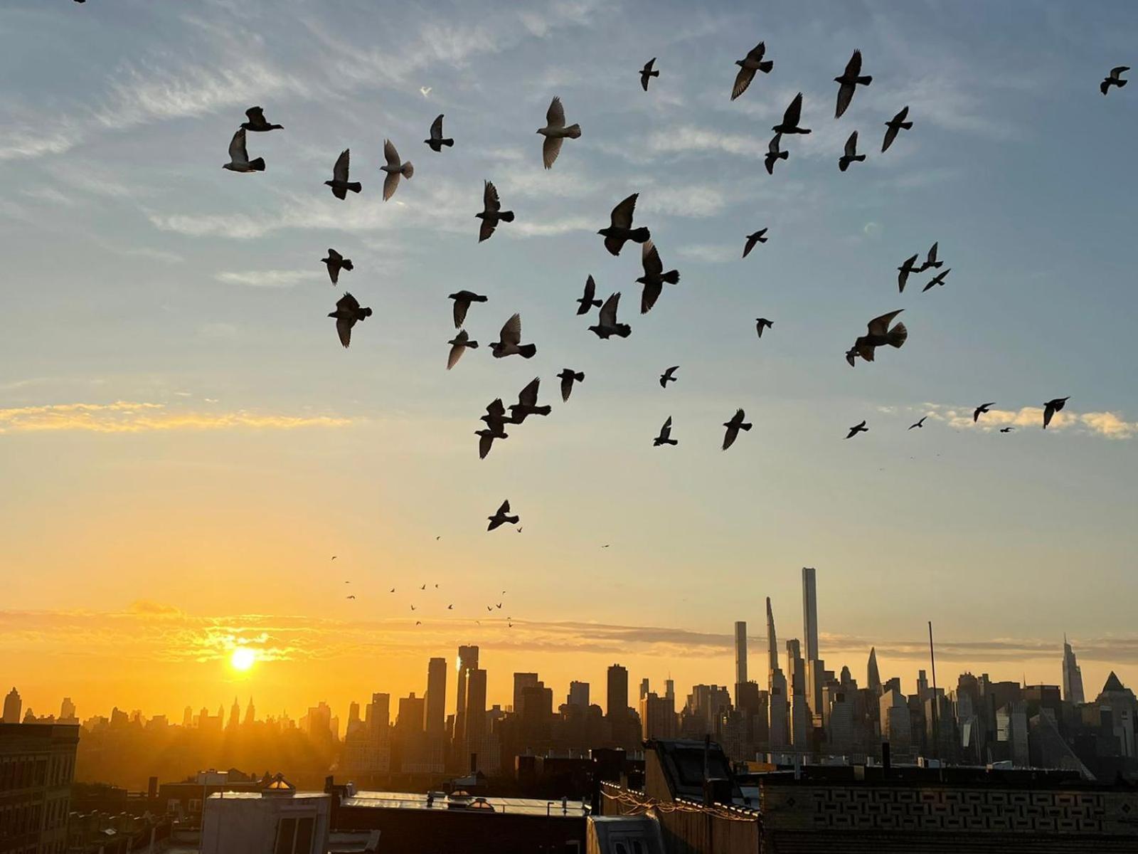 Ny Skyline One Of A Kind View Apartamento Union City Exterior foto